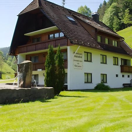 Gaestehaus Absbachtal Bad Rippoldsau-Schapbach Esterno foto