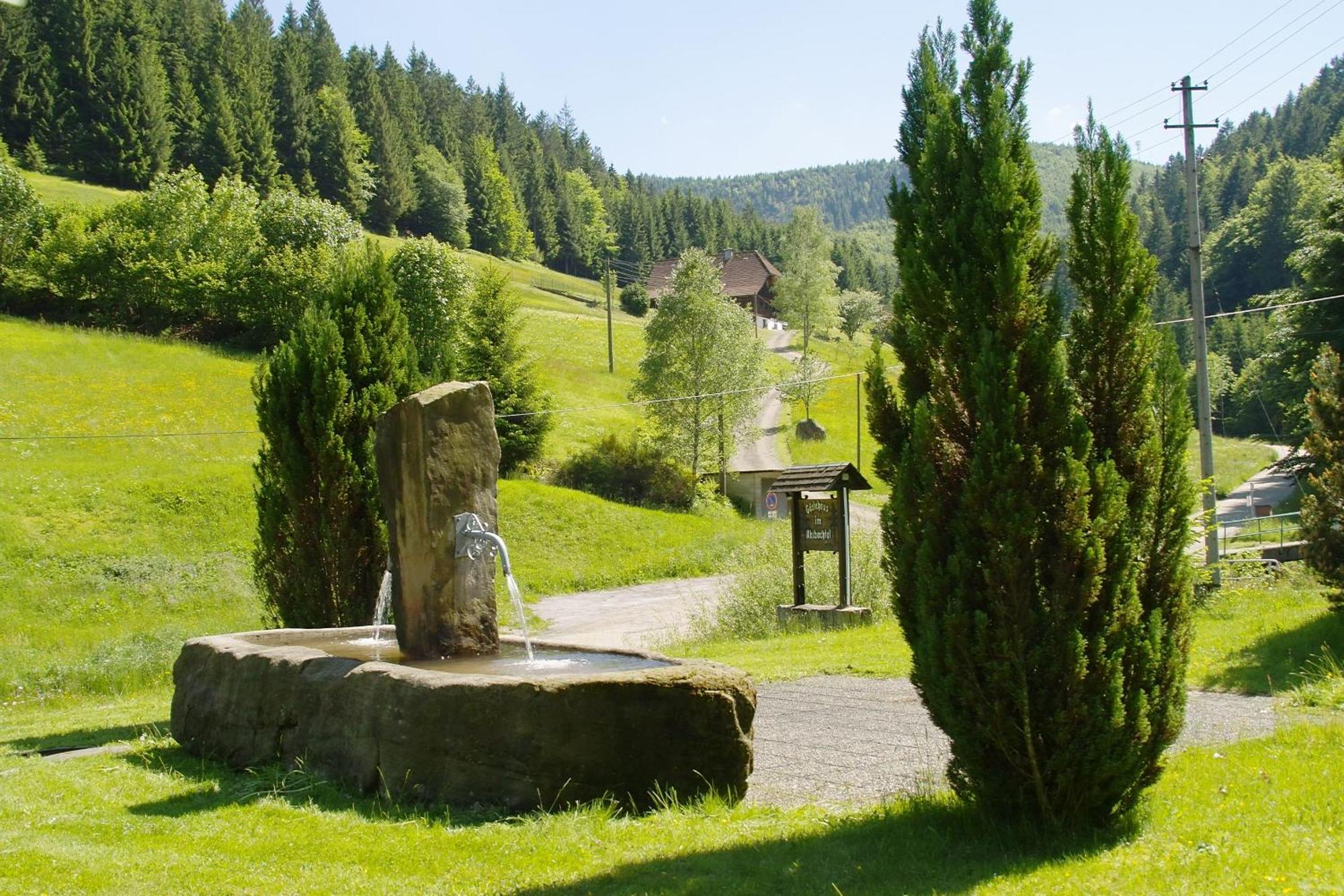 Gaestehaus Absbachtal Bad Rippoldsau-Schapbach Esterno foto