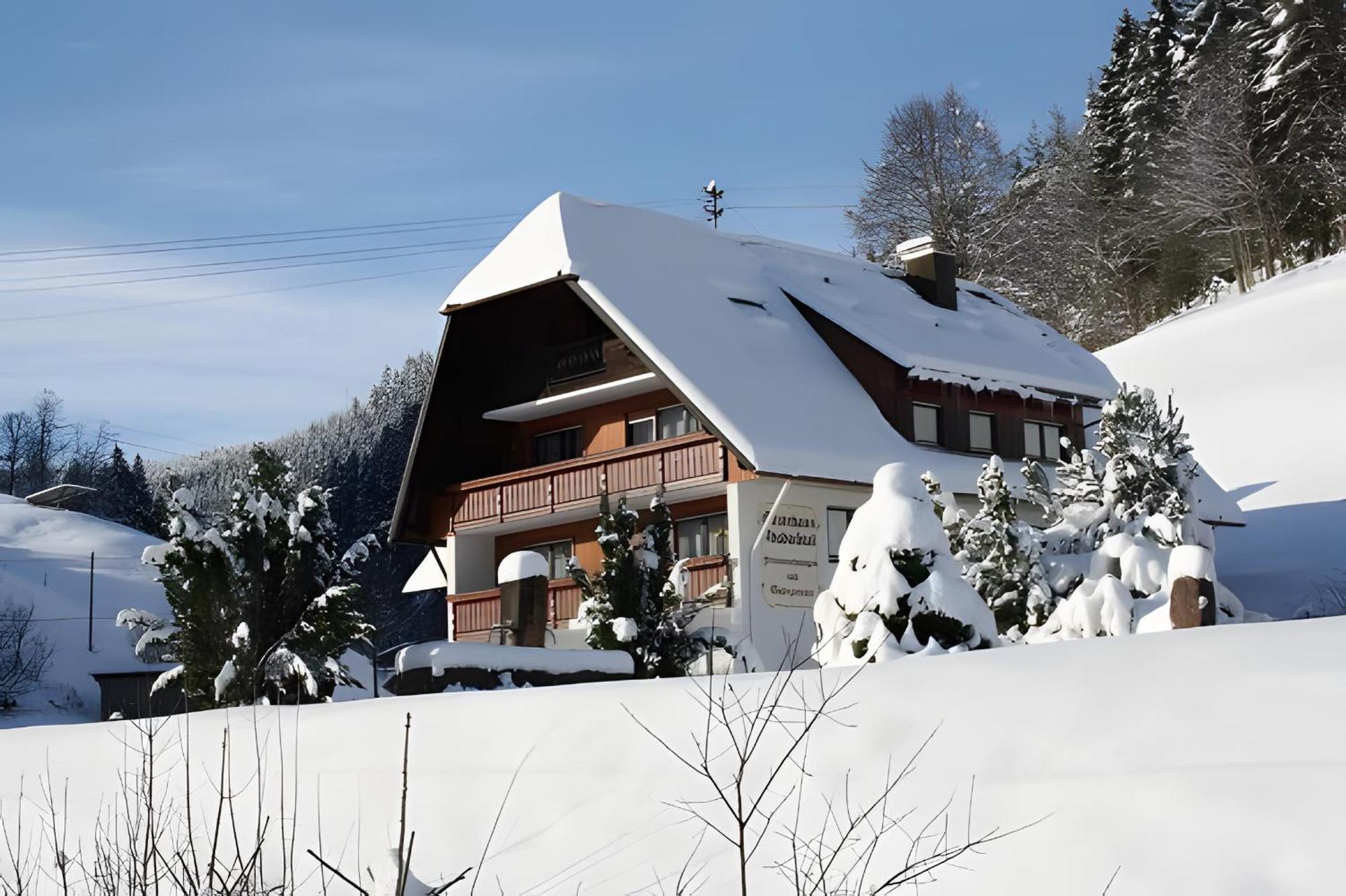 Gaestehaus Absbachtal Bad Rippoldsau-Schapbach Esterno foto