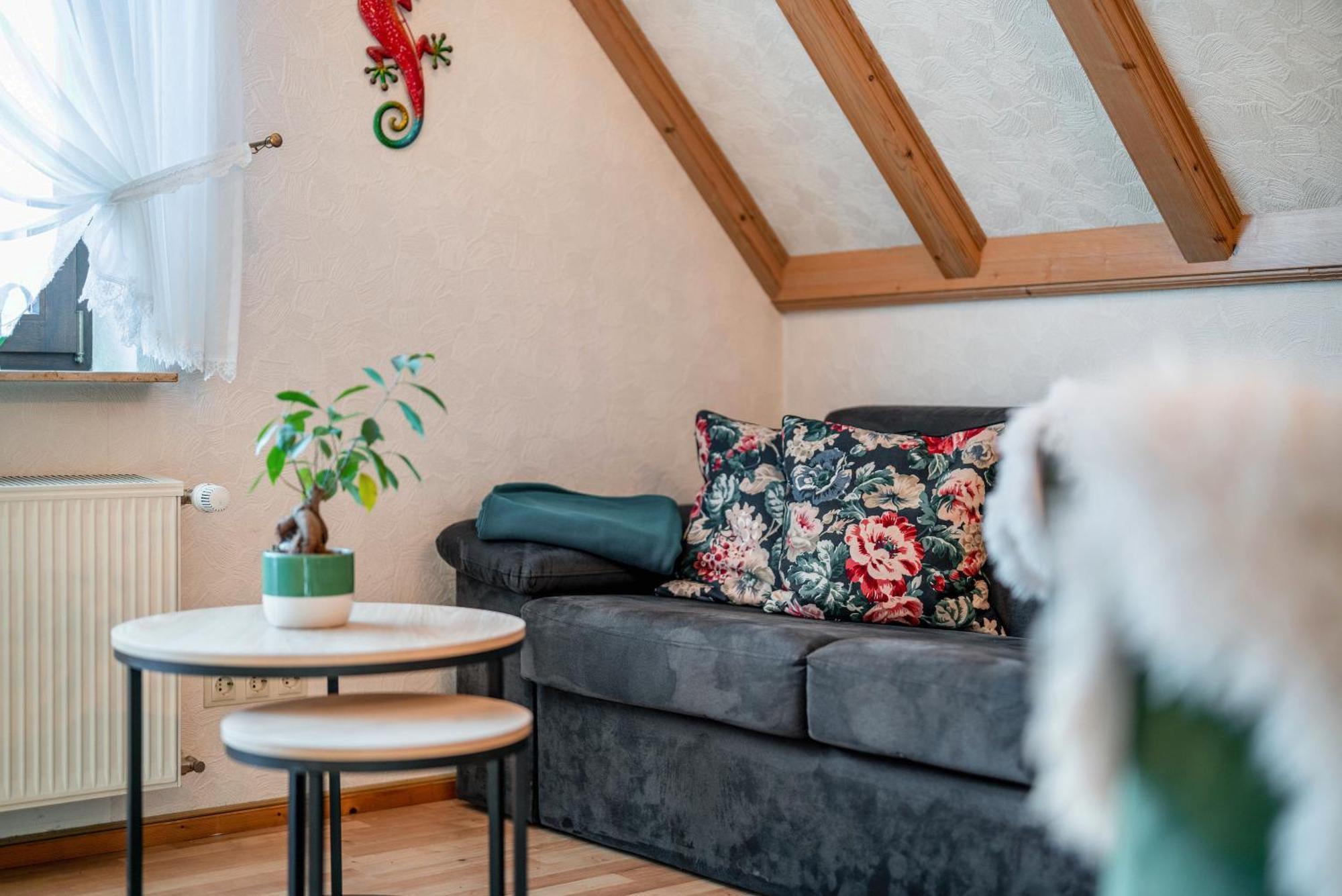 Gaestehaus Absbachtal Bad Rippoldsau-Schapbach Esterno foto